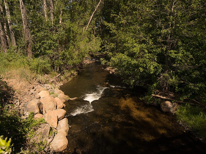 Manastash Creek Restoration 